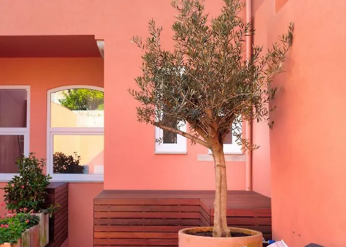 Viva Casa Da Praca With Pool And Terrace Appartement *